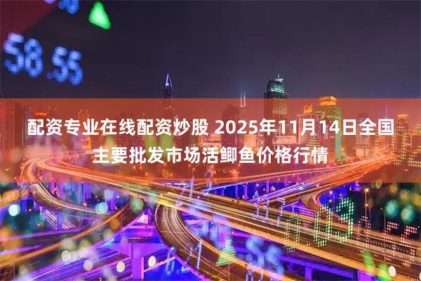 配资专业在线配资炒股 2025年11月14日全国主要批发市场活鲫鱼价格行情