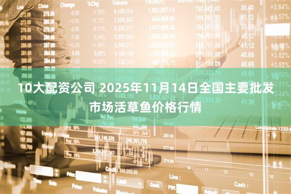 10大配资公司 2025年11月14日全国主要批发市场活草鱼价格行情