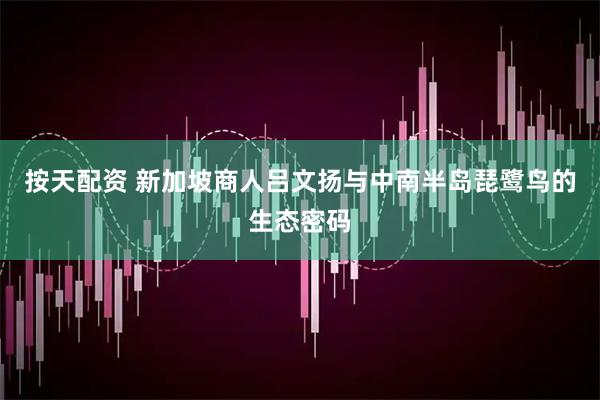 按天配资 新加坡商人吕文扬与中南半岛琵鹭鸟的生态密码